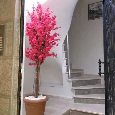 Pera Colour House 4* 伊斯坦布尔